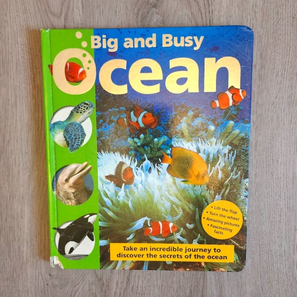 Big & Busy Ocean Children's Hardcover Non-Fiction Pop Up Book 2009